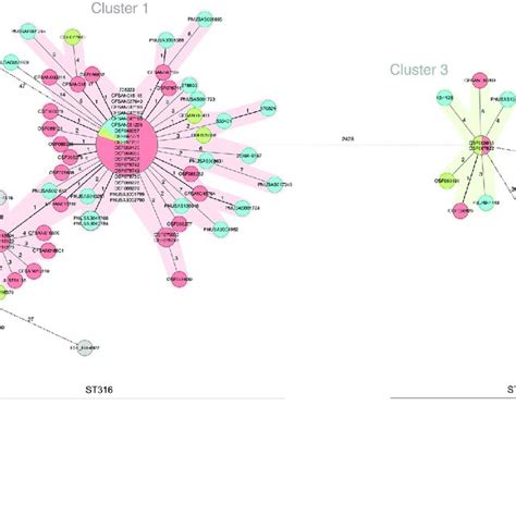 Minimum Spanning Tree Of The Wgmlst Allelic Profiles For Salmonella