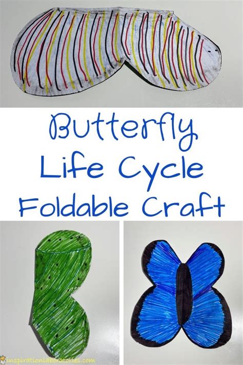 Butterfly Life Cycle Foldable Craft | Inspiration Laboratories