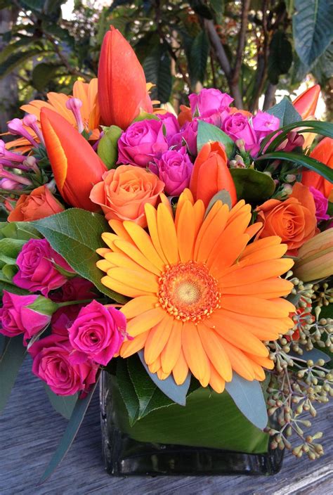 Pink And Orange Flowers Plants at Susan Lebrun blog