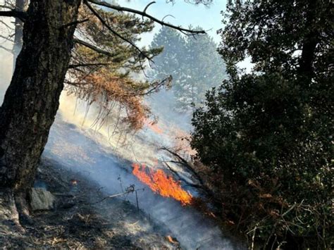 Quasi Spento L Incendio Nei Boschi Di Varazze Dopo La Notte Le Ultime