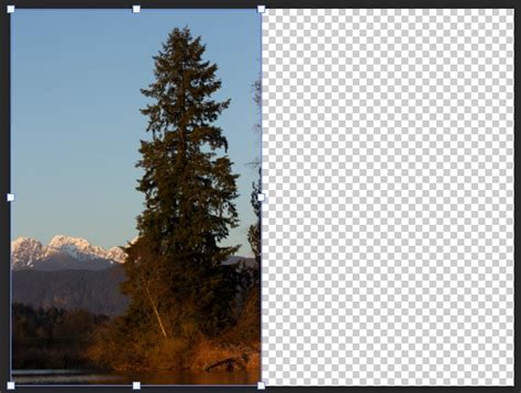 How To Flip Images And Layers In Photoshop Fast