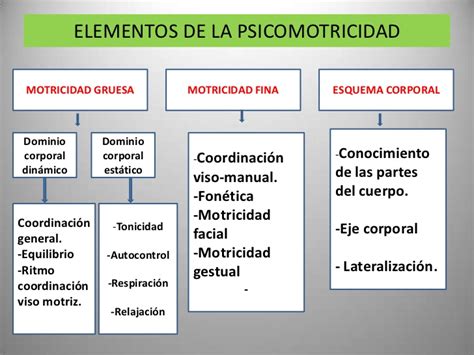 Esquema Psicomotricidad Fotos Gu A