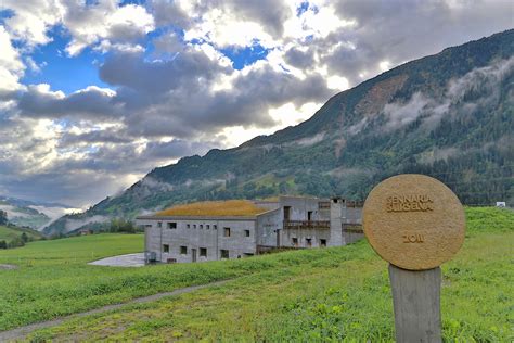 Bio Bündner echter Bergkäse Alpenkräuter Schweizer Käse