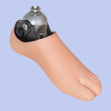 10 Best Prosthetic Foot. Lowest Price Online -Hospital Store