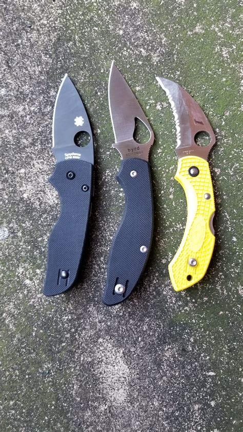 Byrd Tern: First Impressions - Spyderco Forums