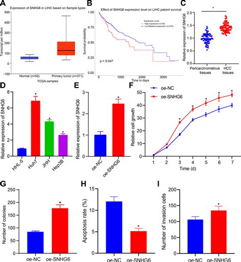 SNHG6 Promotes HCC Cell Proliferation A Bioinformatic Analysis Of TCGA