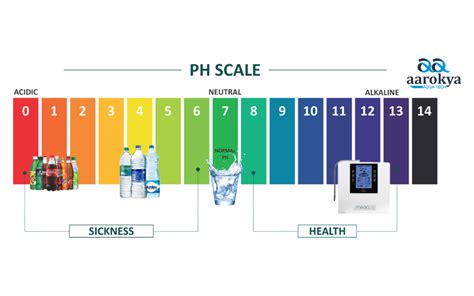 Alkaline Water Purifier Benefits: Enhance Hydration and Health