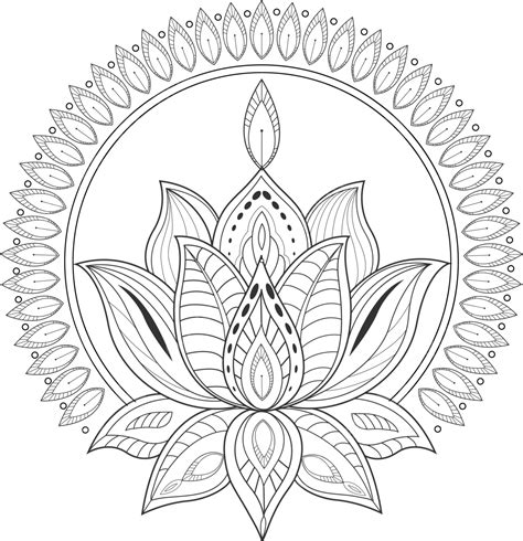 Mandala Lotus Flower Drawing Png Vector Psd And Clipart With