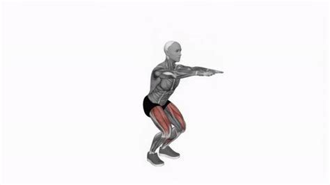 Bodyweight Squat Fitness Exercise Workout Animation Video Male Muscle Highlight 4k 60 Fps