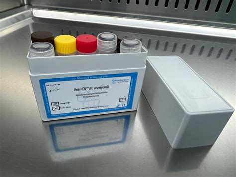 Mycoplasma Wenyonii Detection Kits Pcr Kit