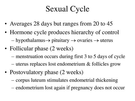 Chapter 27 The Male Reproductive System Ppt Download