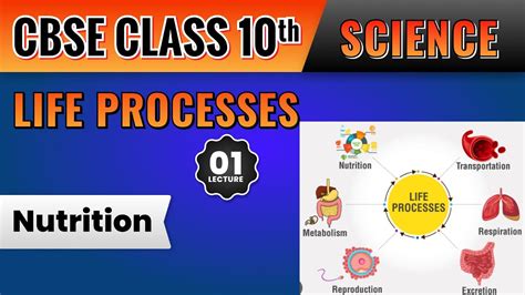 Life Processes Nutrition Basics L Th Science Live Class