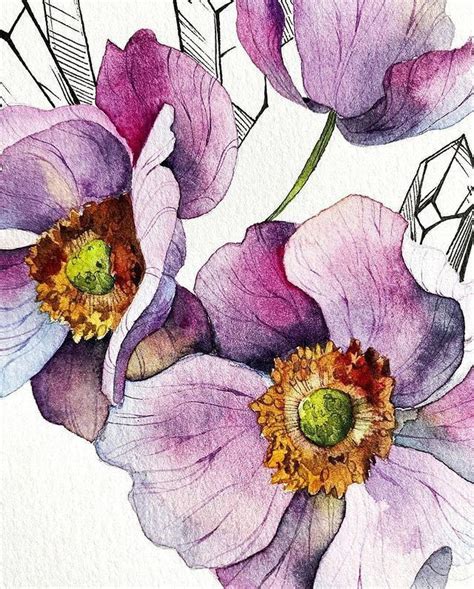 Pin by talina on سكتش رسم in 2024 Watercolor flower art Flower art