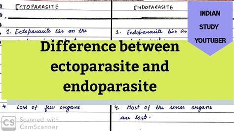 Difference between ectoparasite and endoparasites | Ecology - YouTube