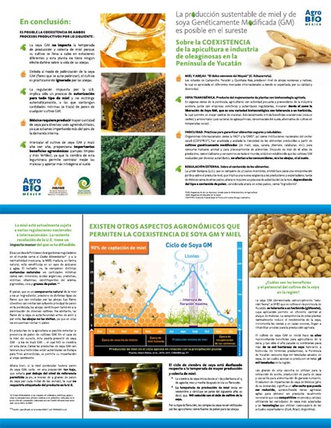 PDF Produccion Sustentable De Miel Y Soya Transgenicos DOKUMEN TIPS