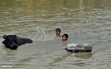 Buffalo Dip Photos And Premium High Res Pictures Getty Images