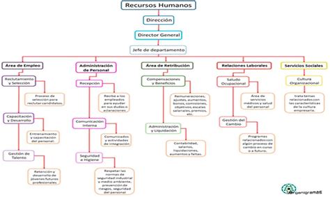 Organigrama De Recursos Humanos Caracter Sticas Elementos Y 145789