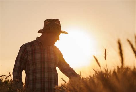 Recupera O Judicial Oportuniza Respiro No Caixa Do Produtor Rural