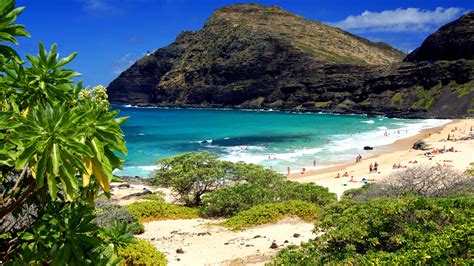 Hawaii Parks Oahu Beaches Wallpapers Hd Desktop And Mobile Backgrounds