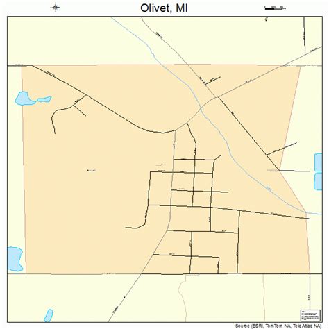 Olivet Michigan Street Map 2660580