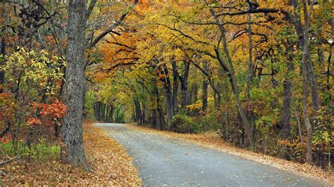 Fall In Texas 12 Places To See Amazing Fall Colors In Texas