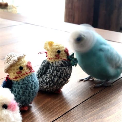 部屋全体賃貸でも楽しく♪いいね♪いつもありがとうございます ️インコと暮らす家キキとララなどのインテリア実例 2017 01