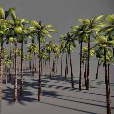 Palm tree 3d model