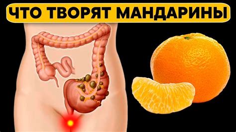 Что творит МАНДАРИН? Даже один МАНДАРИН может вызвать необратимый ...