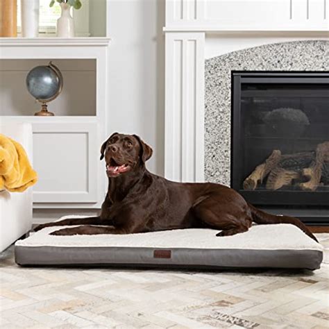 Dog Bed for Extra Large Dogs | Orthopedic Memory Foam | OhGeni ...