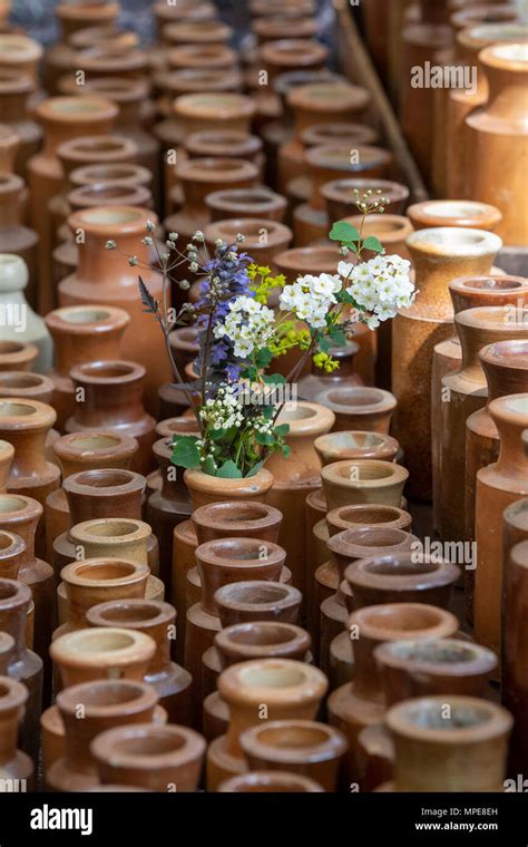 Fr Hling Schnittblumen Fotos Und Bildmaterial In Hoher Aufl Sung Alamy