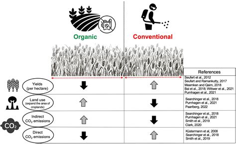 The Difference Between Organic Food And Conventional Food
