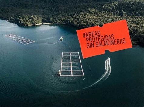 Áreas protegidas sin salmoneras Comisión Mixta Parlamentaria y