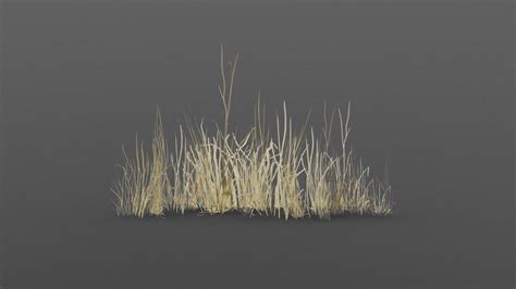 Dry Grass Download Free 3d Model By Pixel Bit [d148453] Sketchfab