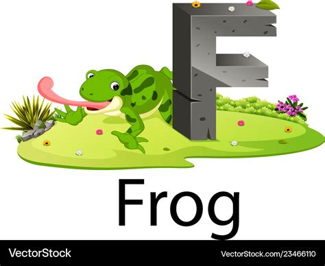 Cute Zoo Animal Alphabet F For Frog Royalty Free Vector