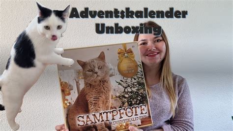 Wir Testen Einen Katzen Adventskalender Lohnt Sich Das YouTube