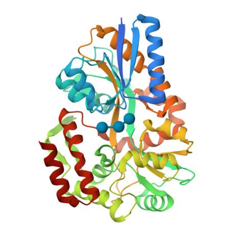 RCSB PDB 1URS X Ray Structures Of The Maltose Maltodextrin Binding