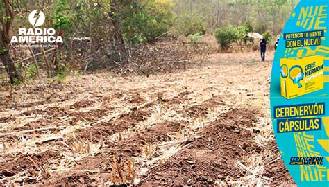 Proyecto Del Bcie En El Corredor Seco De Centroamérica Va A Cambiar Vidas