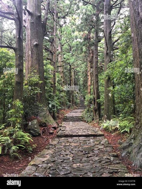 Kumano kodo trail Stock Photo - Alamy