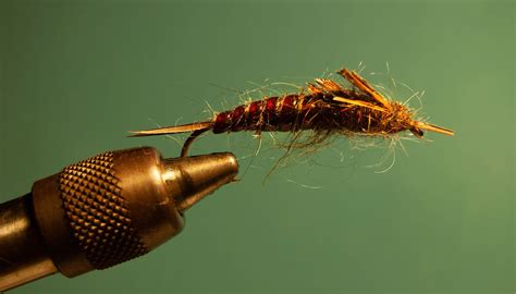 1 Ultimate Stonefly Nymph Guide Win At Fly Fishing