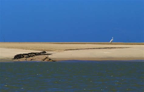 Paisagens naturais são destaque do litoral do Piauí Qual Viagem