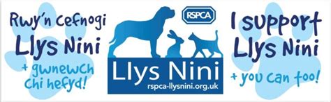 Welcome To The Rspca Llys Nini Animal Centre Rspca Llys Nini Animal