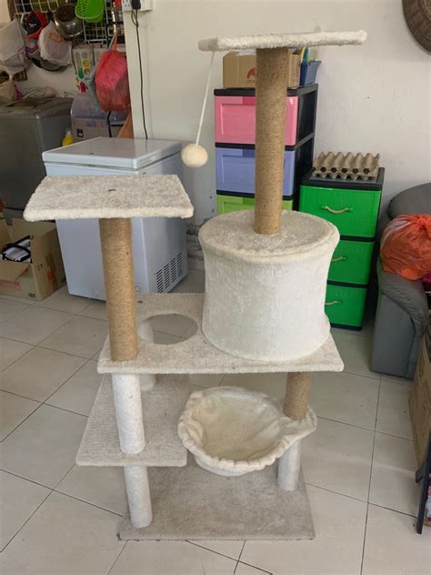 Cat Tree Pokok Kucing Pet Supplies Homes Other Pet Accessories On