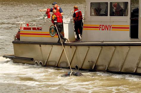 Dead Man With Weighted Bookbag Pulled Out Of Hudson River