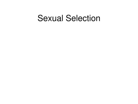 Ppt Sexual Selection Powerpoint Presentation Free Download Id9341428