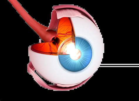 Witreoliza Laserowa OKULUS PLUS Centrum Okulistyki I Optometrii