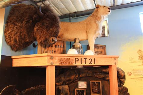 Discovery Tar Pits — Santa Maria Valley Discovery Museum