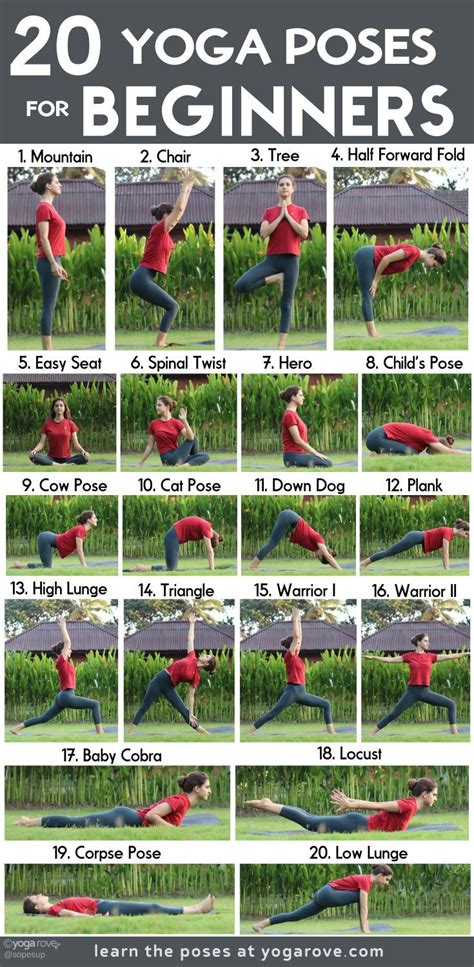 20 Yoga Poses For Complete Beginners Artofit