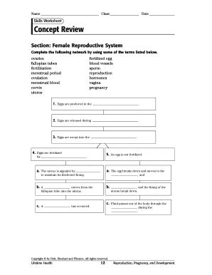 Fillable Online Skills Worksheet Concept Review Fitforever Fit Fax