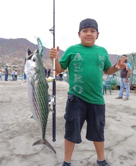 Inculcan Modalidad Del Catch And Release A Sangre Nueva En Baja