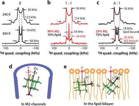 Figure 1 From Membrane Protein Structure And Dynamics From Nmr